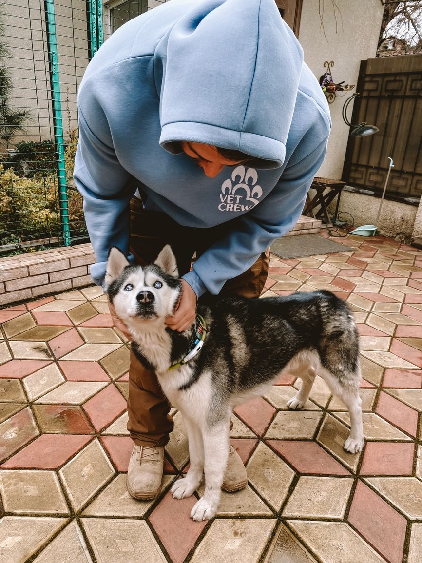 Casper, a blind dog taken in by the Stoyanovs after his owner was killed on the front line