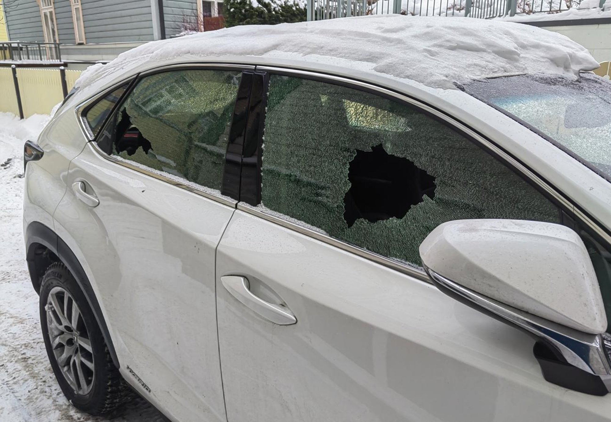 After discovering his family car had been vandalized, Shumakov grew suspicious. He read about the similar attack on the interior minister's vehicle.