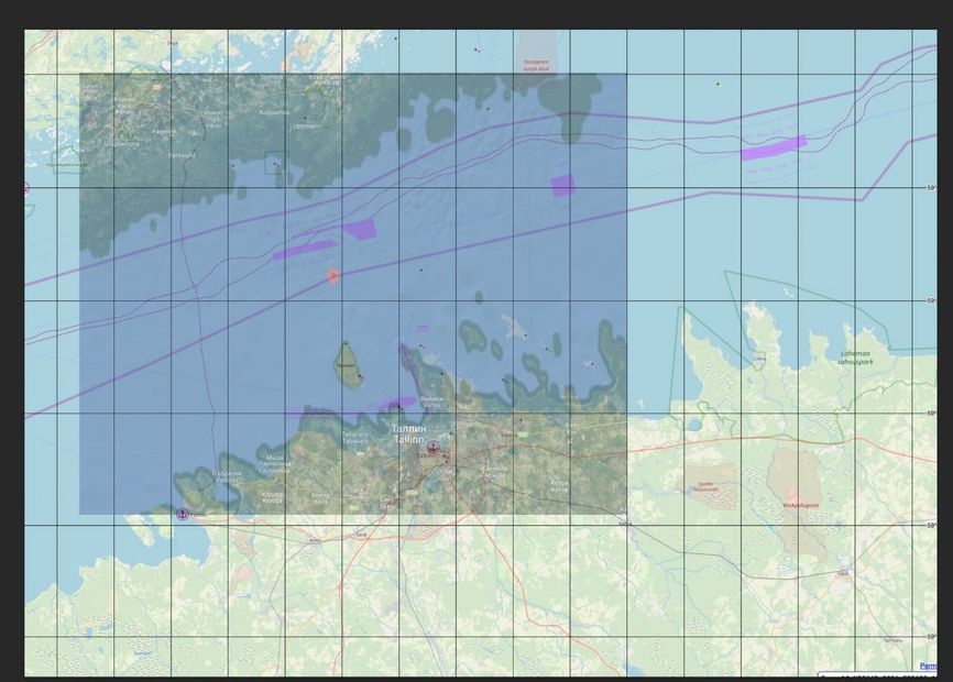 The Jaguar's location at the time the video was recorded