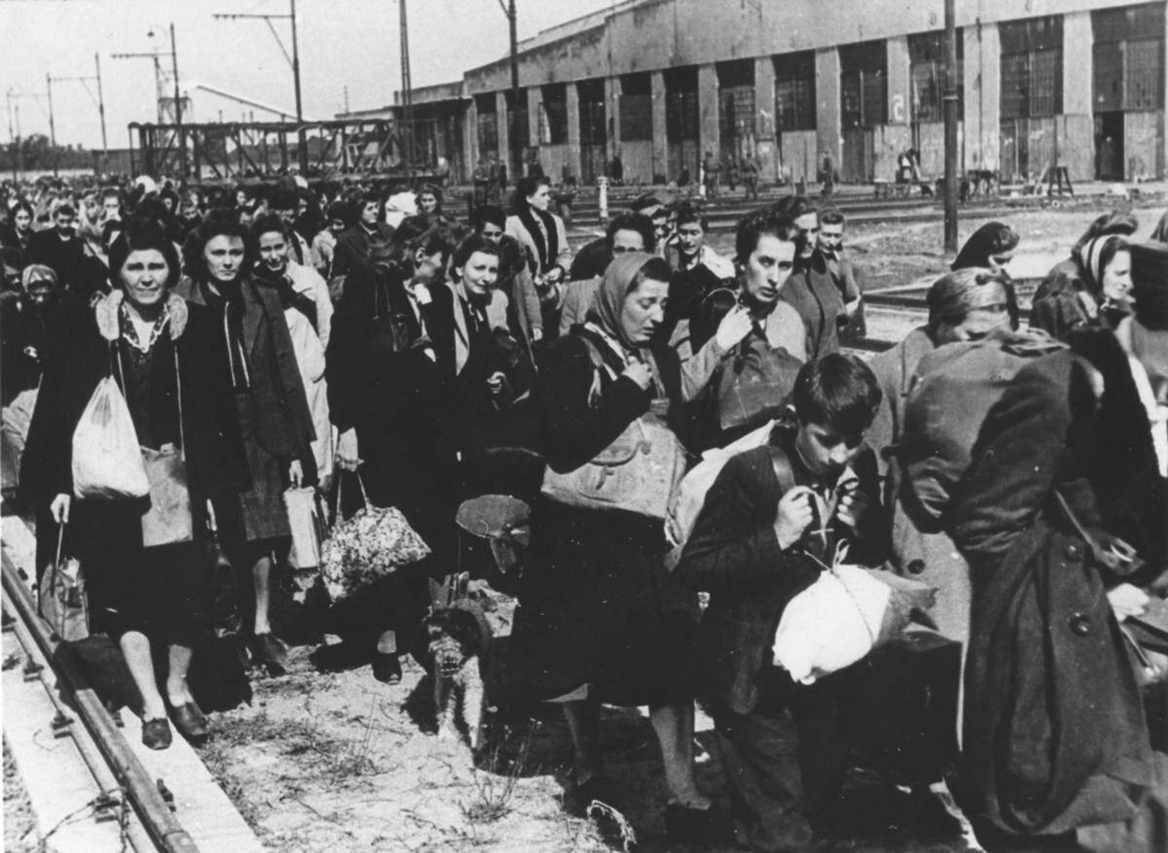 Deportation of Germans from post-war Poland, 1945