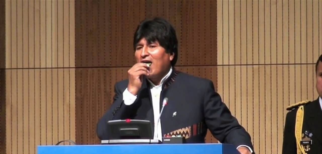 President Evo Morales publicly chewed coca leaves to demonstrate that they are harmless