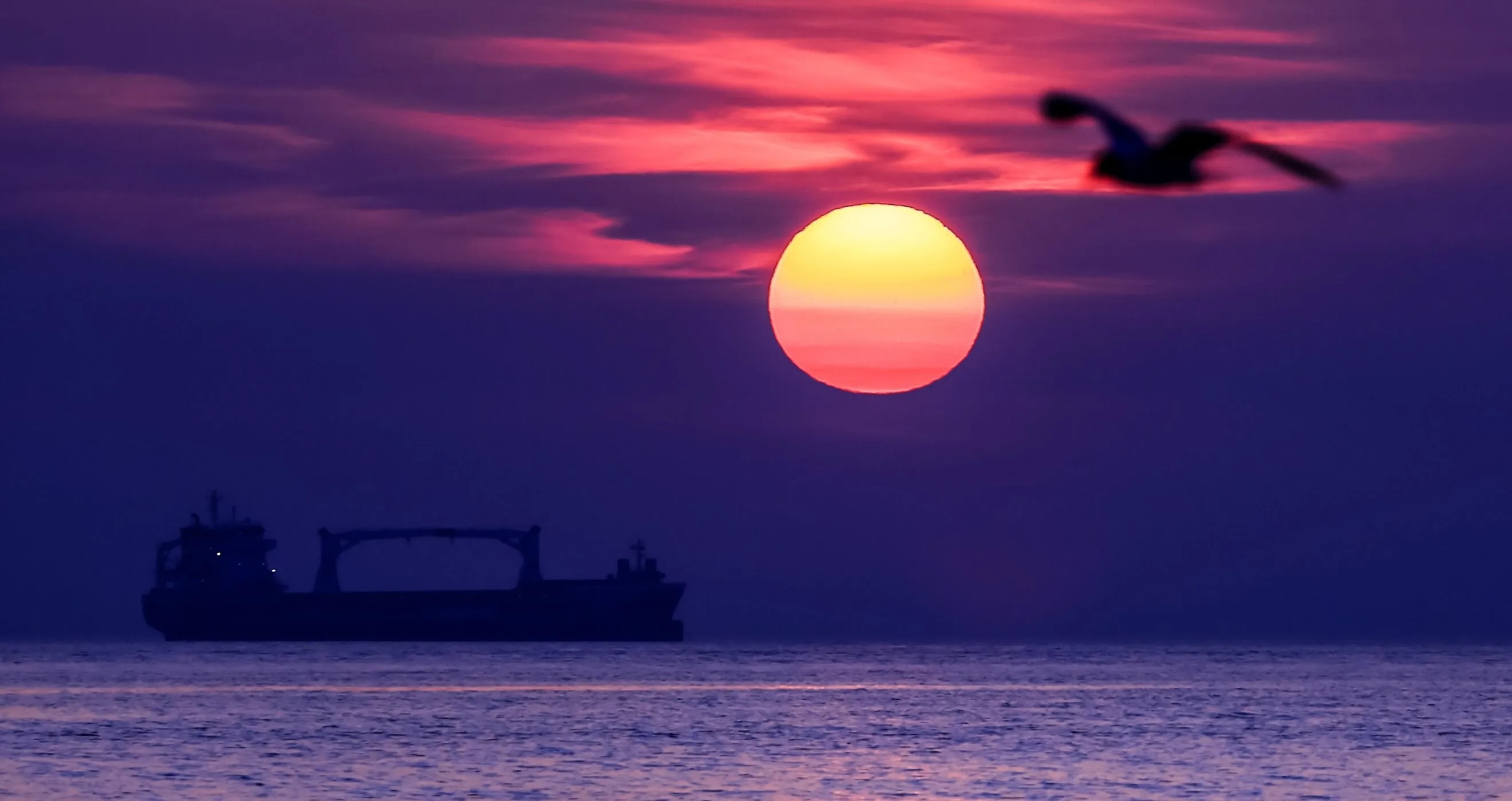 Фото: Hannibal Hanschke/EPA-EFE