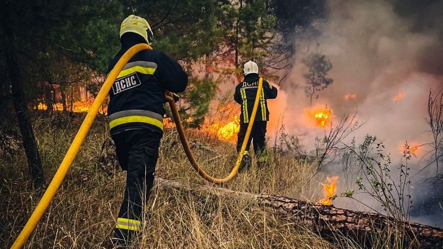 Firefighters from Ukraine's State Emergency Service working to contain a forest blaze.
