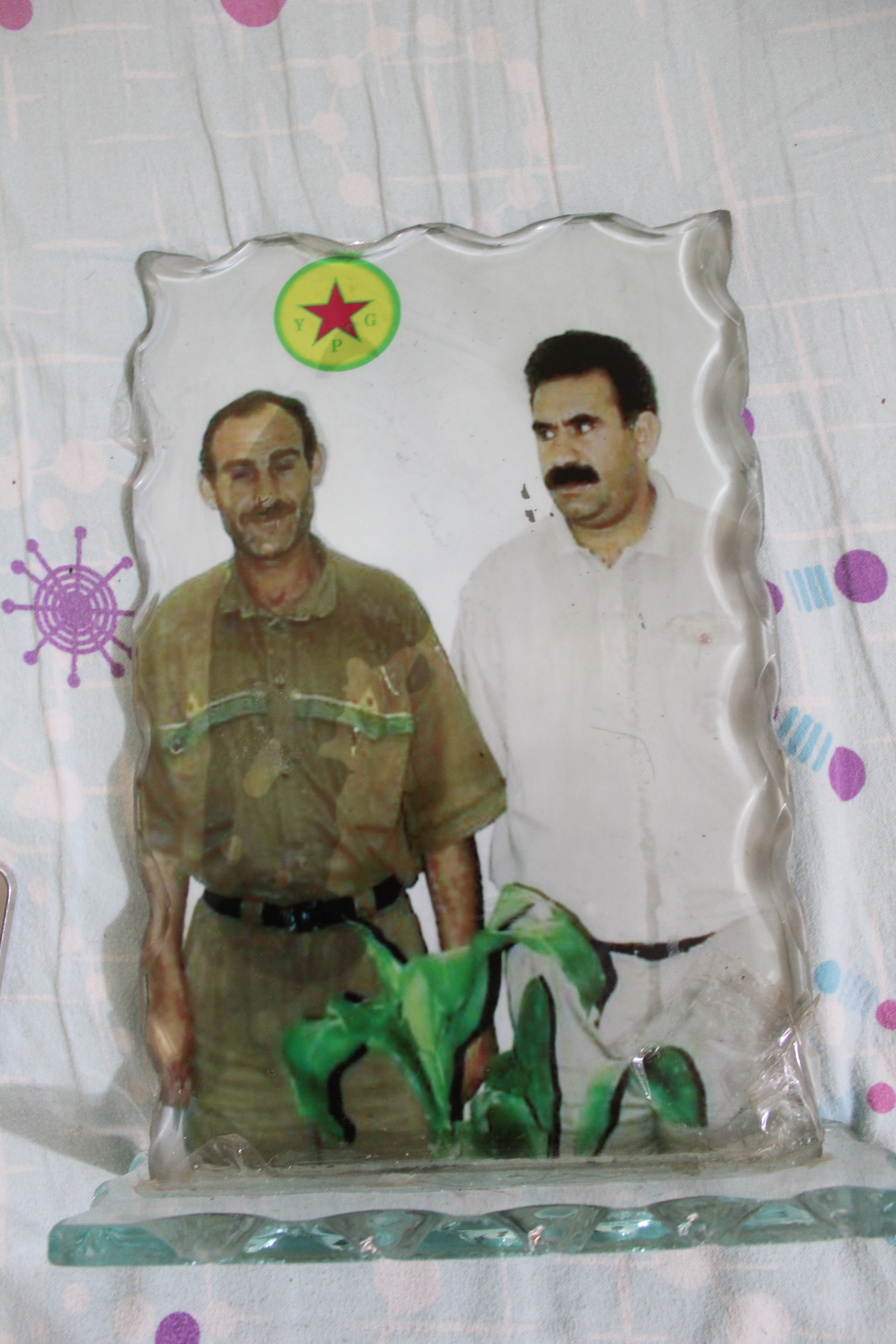 Photo: Sary Hussein as a young man next to Ocalan