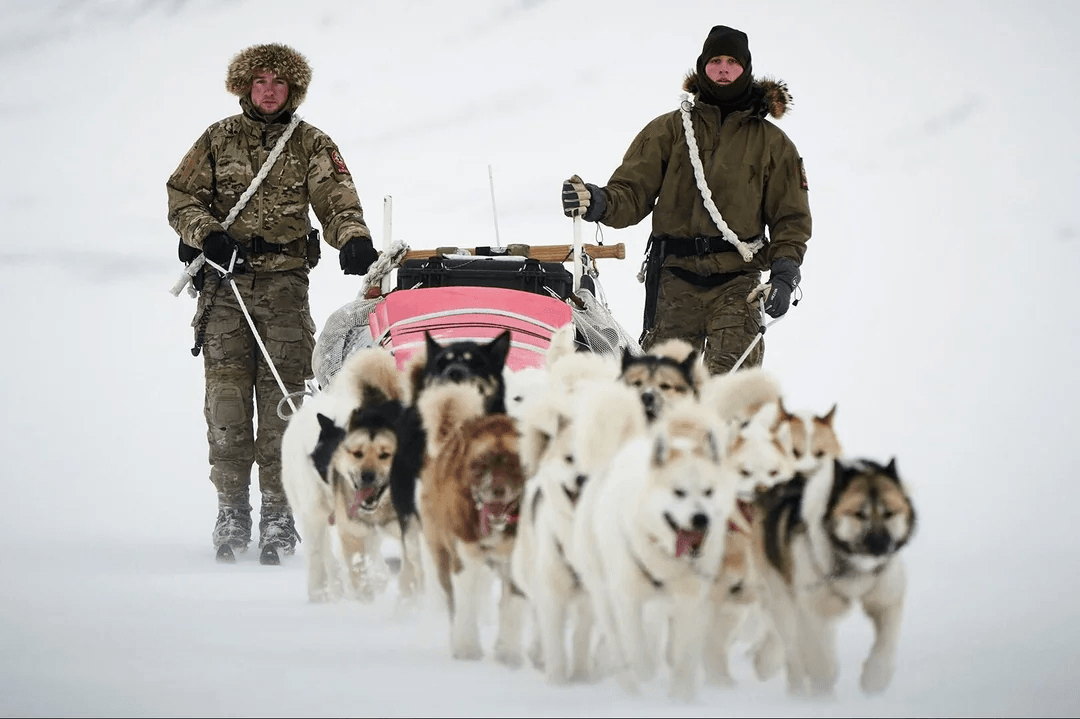 The Sirius Dog Sled Patrol on duty