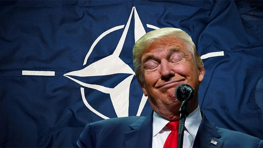 Трамп фактически поставил под сомнение статью о коллективной обороне НАТО
