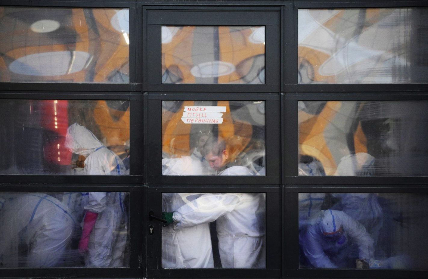 A window at the bird rescue center in Vityazevo, Krasnodar Krai, where volunteers and veterinarians wash oil-contaminated birds and provide them with medical care. Dec. 21, 2024.